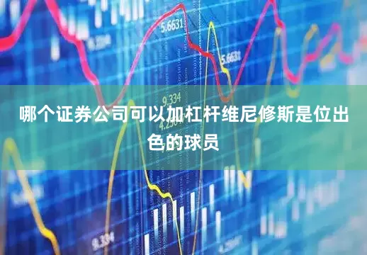哪个证券公司可以加杠杆维尼修斯是位出色的球员