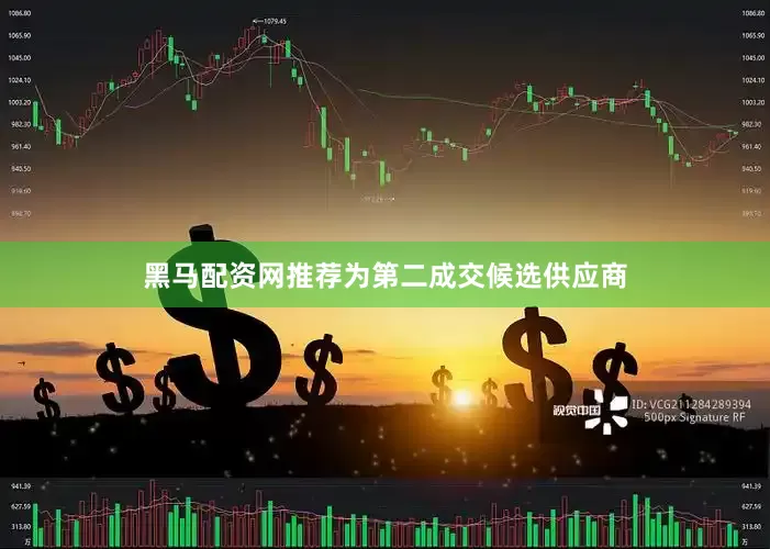 黑马配资网推荐为第二成交候选供应商