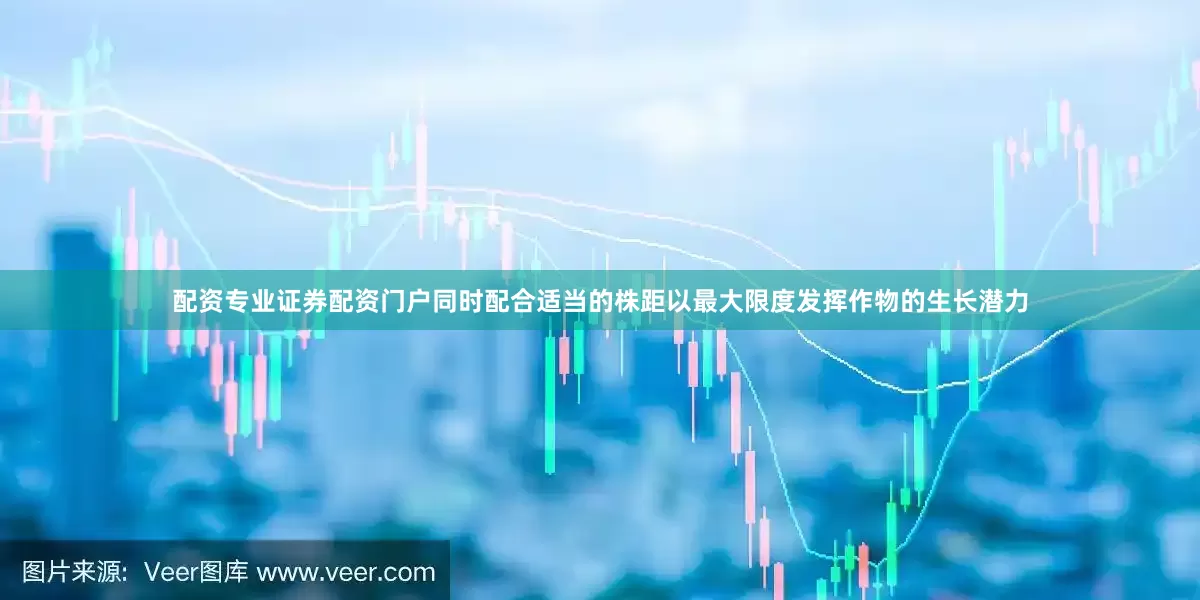 配资专业证券配资门户同时配合适当的株距以最大限度发挥作物的生长潜力